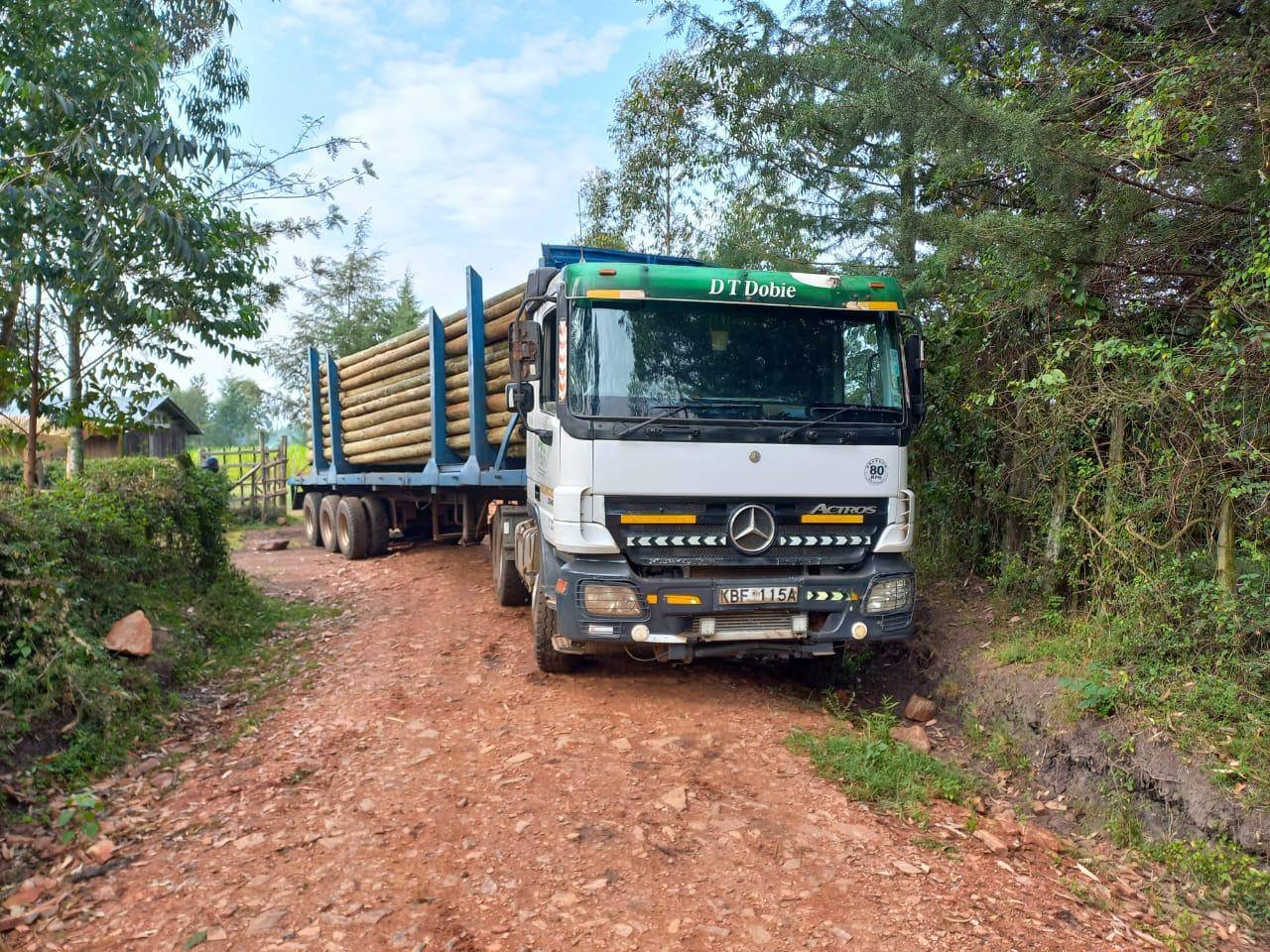 Truck delivering treated timber electricity poles along a rural road